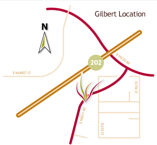 Ocotillo Map - Gilbert Location