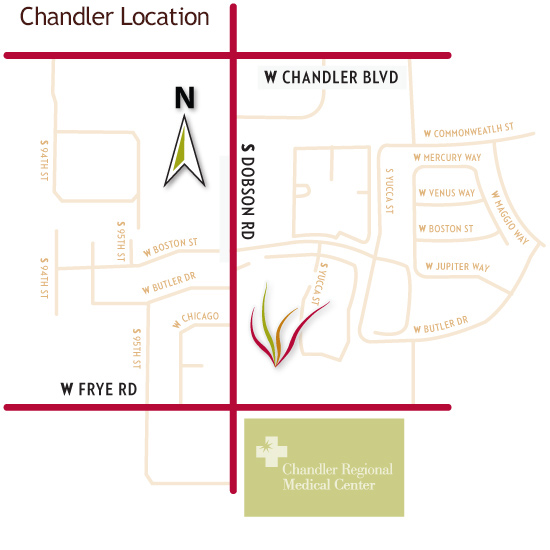 Ocotillo Map - Chandler Location